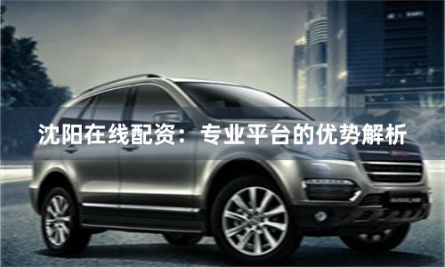 沈阳在线配资：专业平台的优势解析