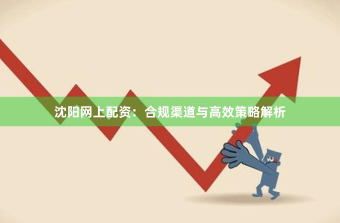 沈阳网上配资：合规渠道与高效策略解析