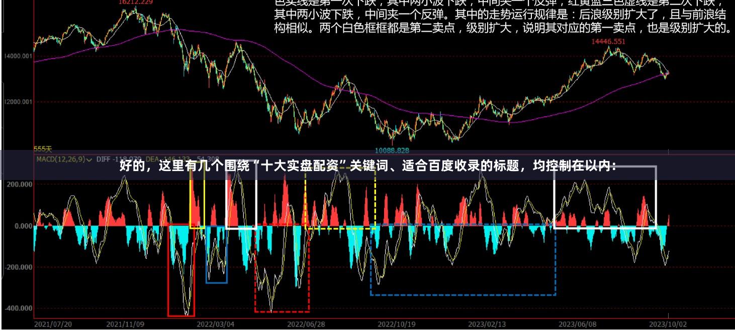 好的，这里有几个围绕“十大实盘配资”关键词、适合百度收录的标题，均控制在以内：